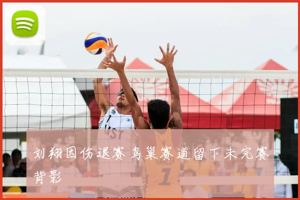 刘翔因伤退赛鸟巢赛道留下未完赛背影