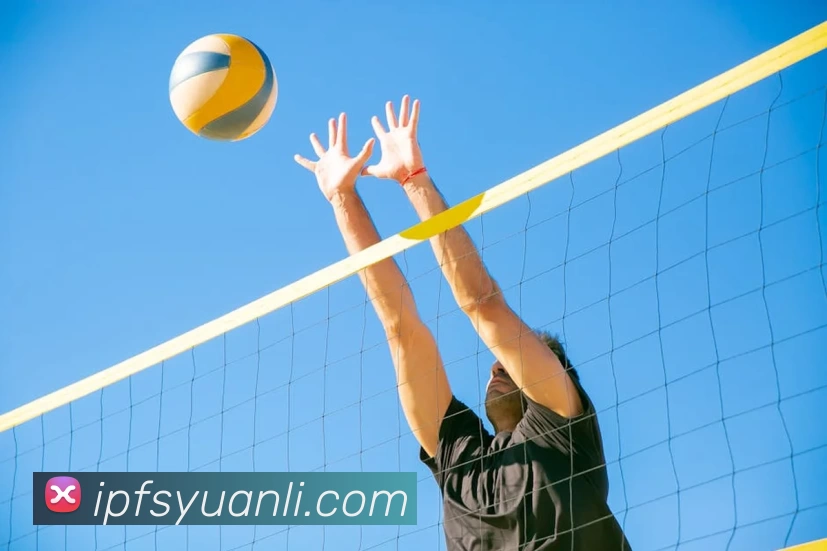 米兰体育在线登录 - 米兰体育(中国)品牌故事